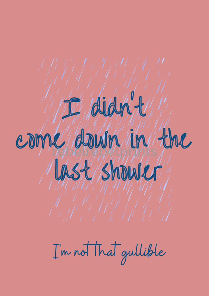 i didn't come down in the last shower digital print